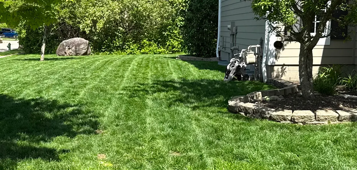 Fuller green lawn after lawn renovation in Columbus Ohio