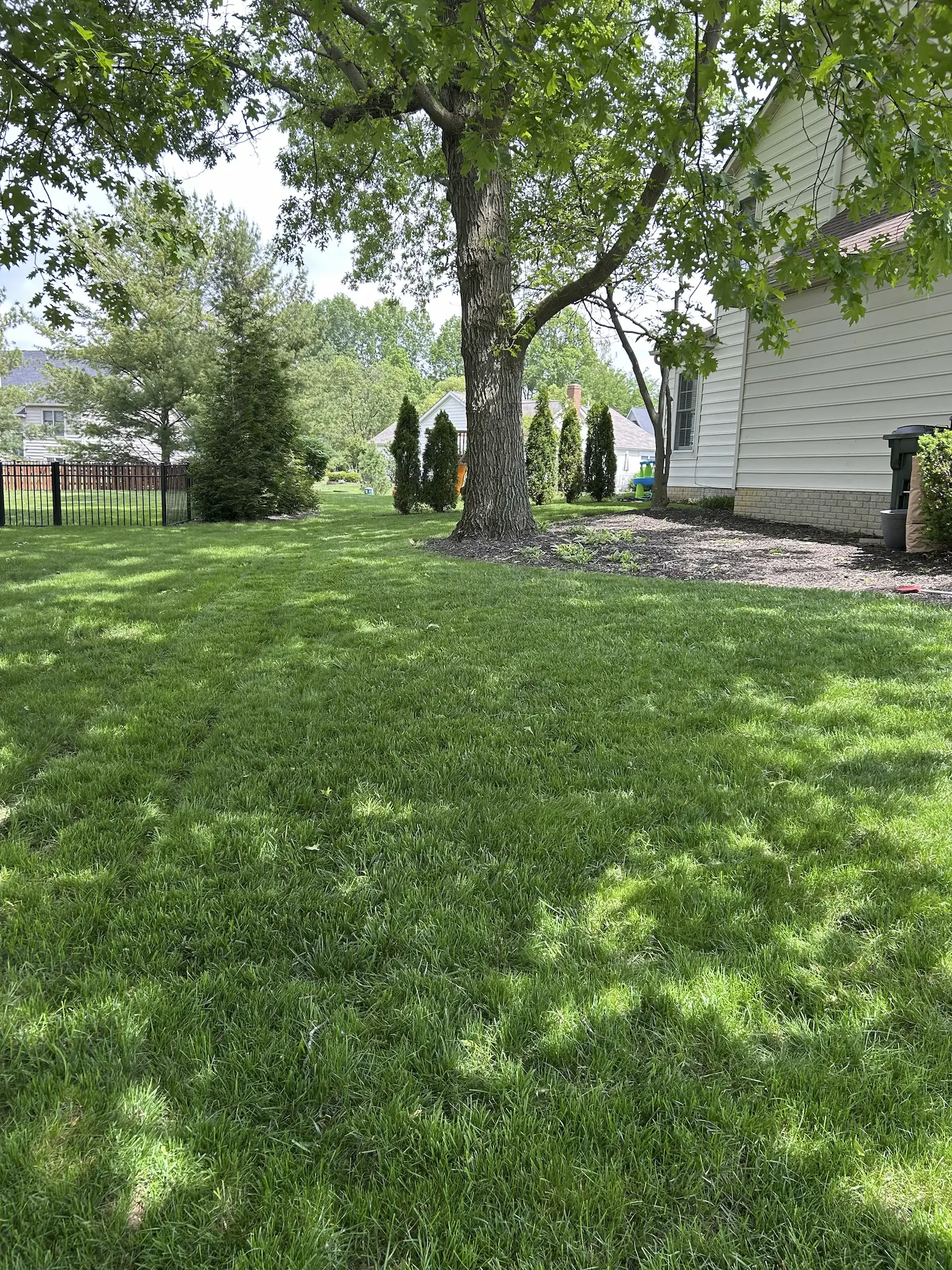 Healthy lawn with improved grass coverage after service