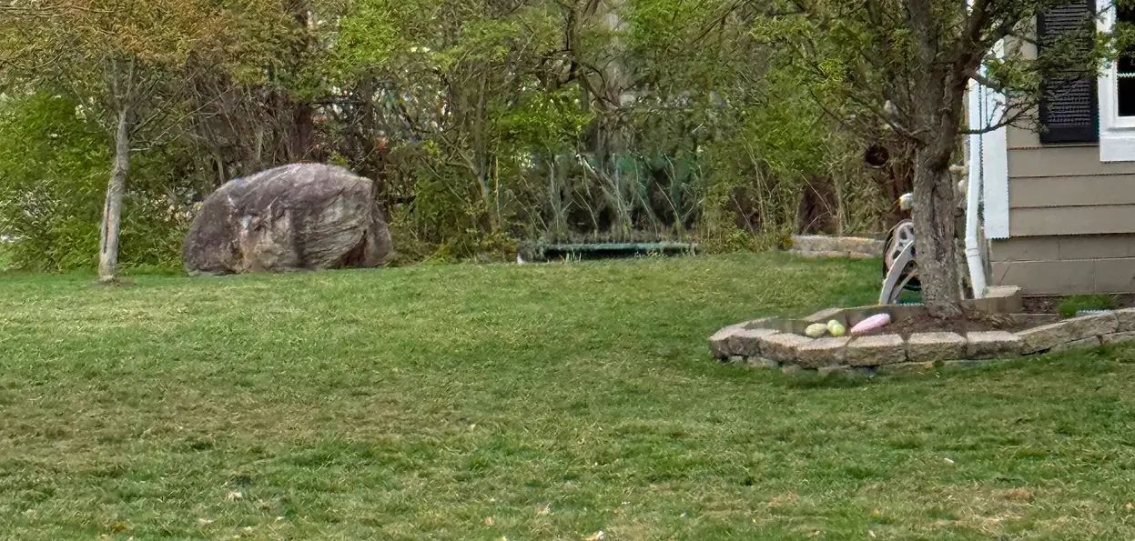 Patchy lawn before lawn renovation in Columbus Ohio