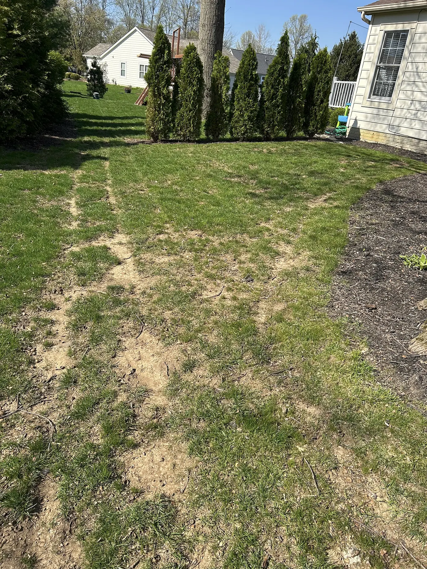 Thin damaged grass before slit seeding service in Columbus Ohio