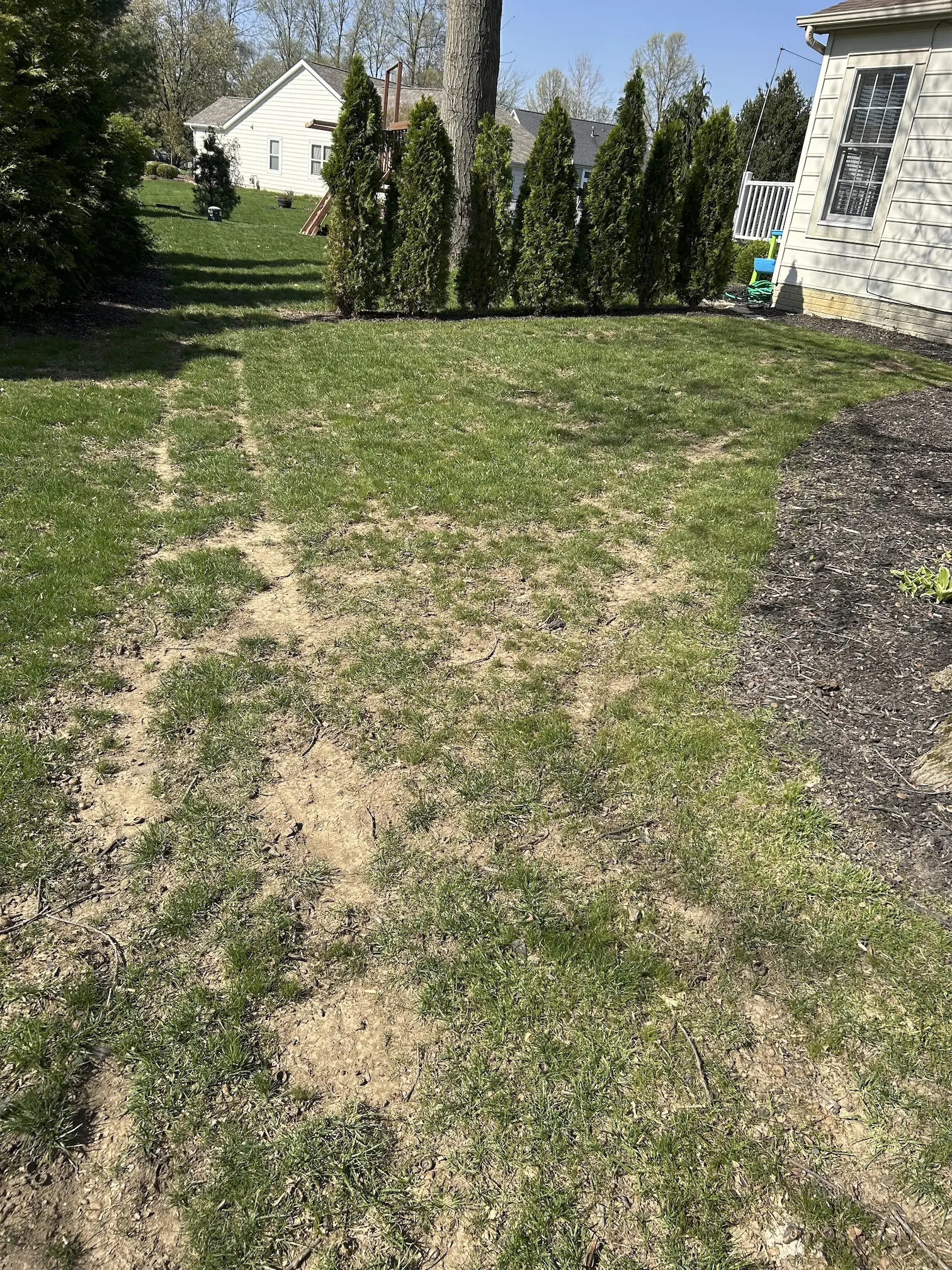 Uneven lawn before dethatching and seeding
